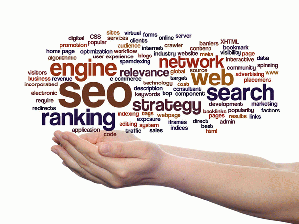 بهینه سازی سایت برای موتورهای جستجو (سئو)